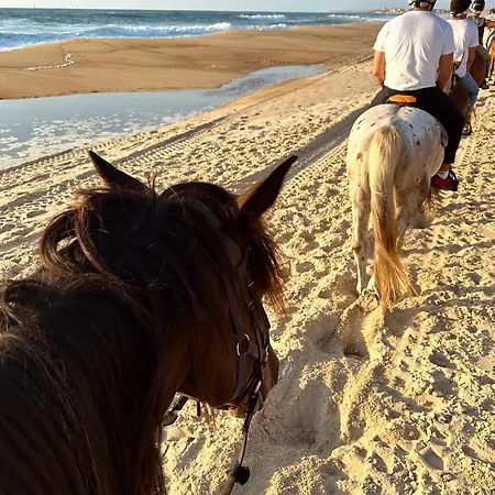 Camping Aparra Surfcamp *