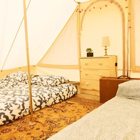 Aparra Surfcamp Auberge Capbreton *