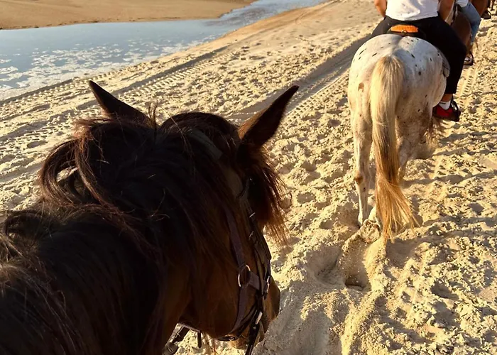 Campingplads Aparra Surfcamp *